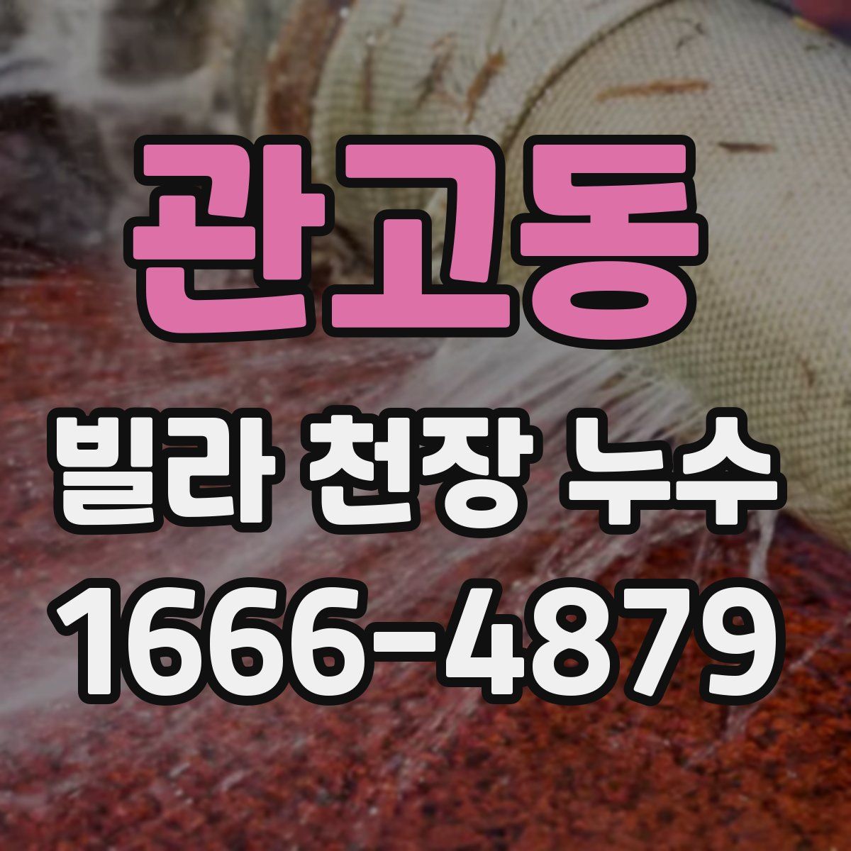 관고동 빌라 천장 누수