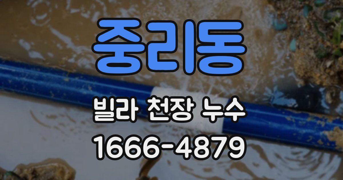 중리동 빌라 천장 누수