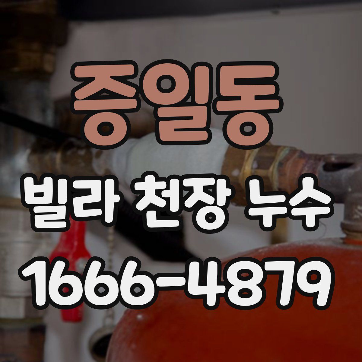 증일동 빌라 천장 누수