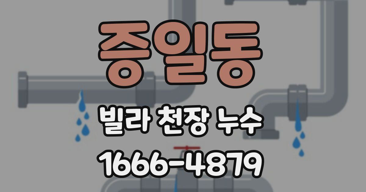 증일동 빌라 천장 누수