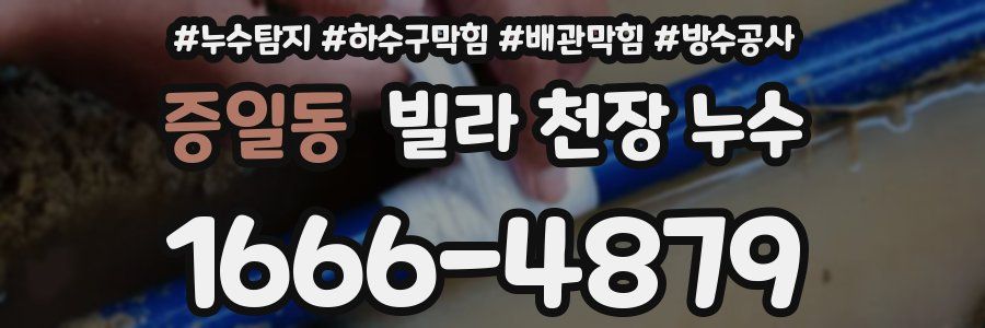 증일동 빌라 천장 누수