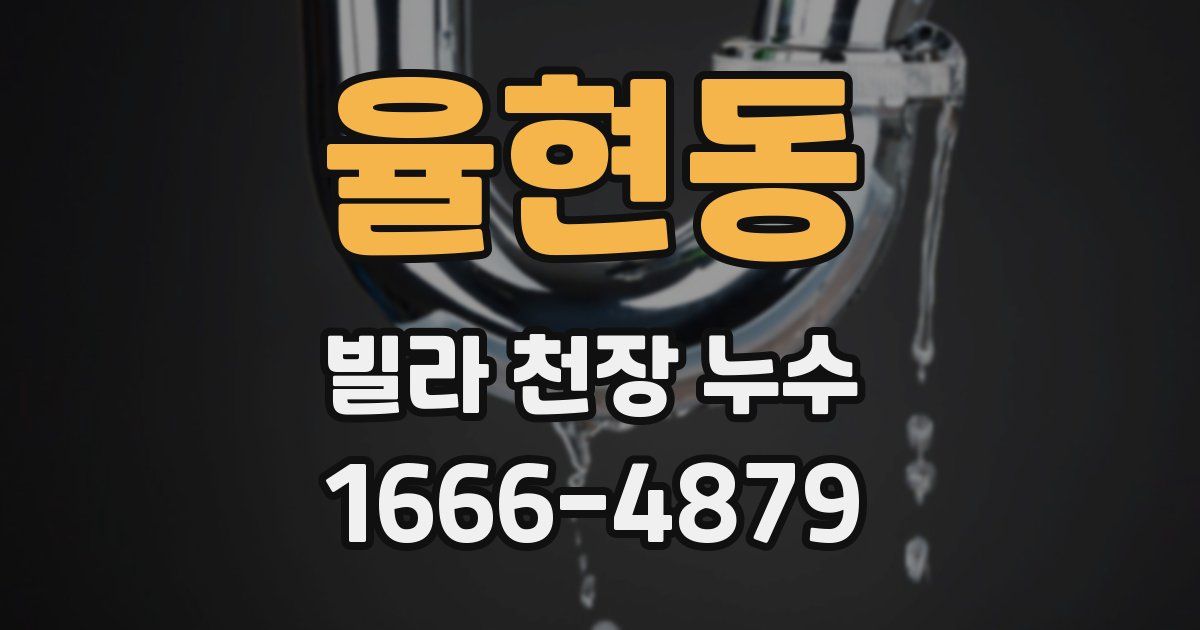 율현동 빌라 천장 누수