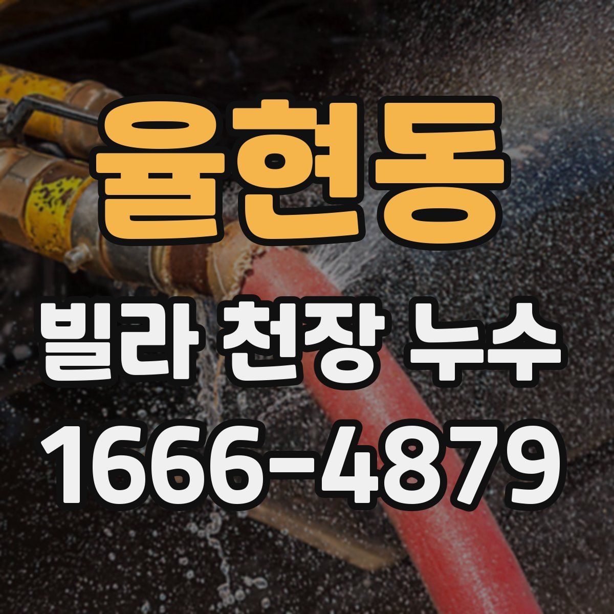 율현동 빌라 천장 누수