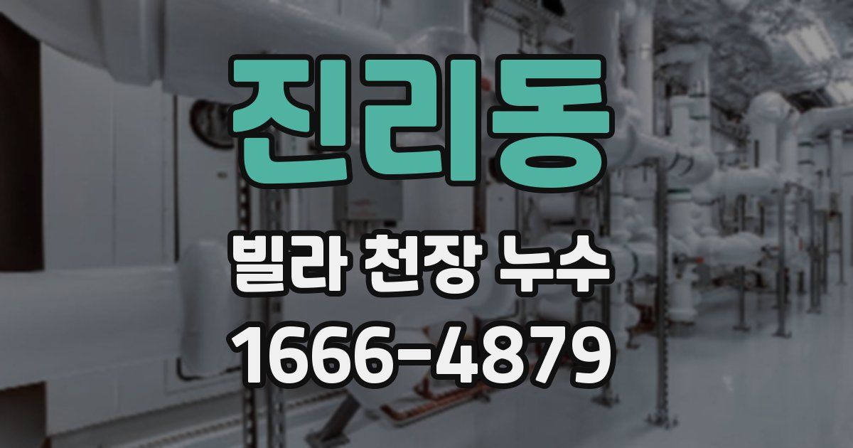 진리동 빌라 천장 누수