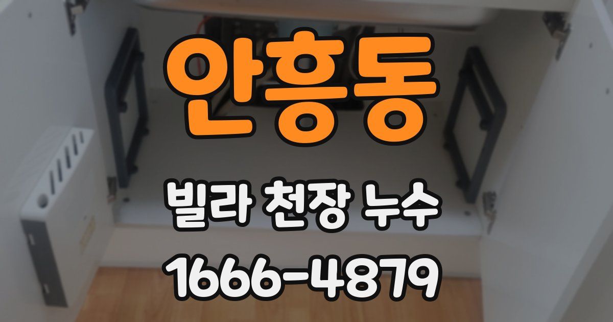 안흥동 빌라 천장 누수