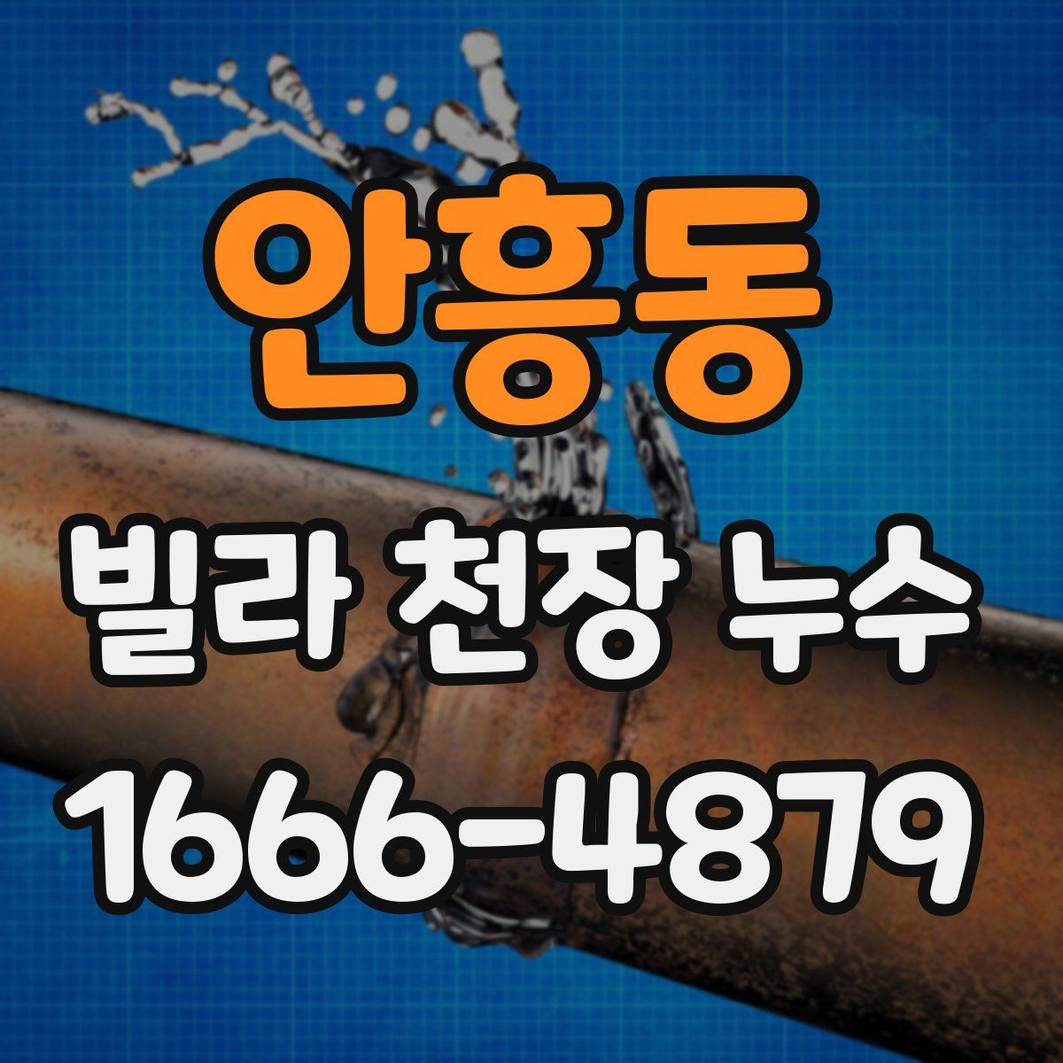 안흥동 빌라 천장 누수