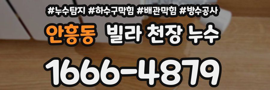 안흥동 빌라 천장 누수