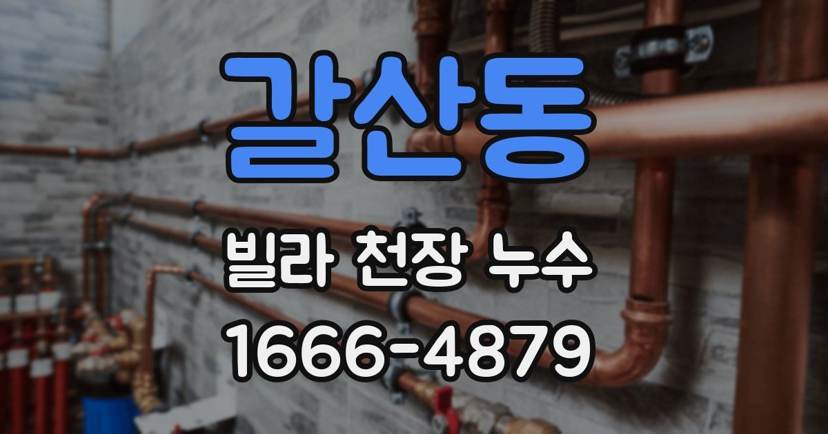 갈산동 빌라 천장 누수