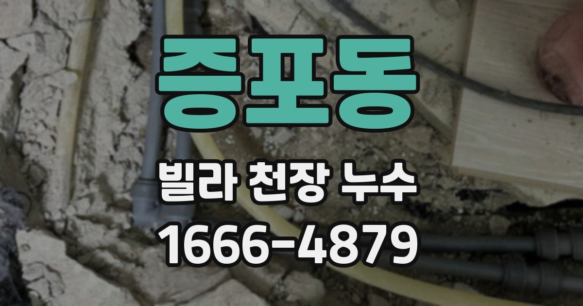 증포동 빌라 천장 누수