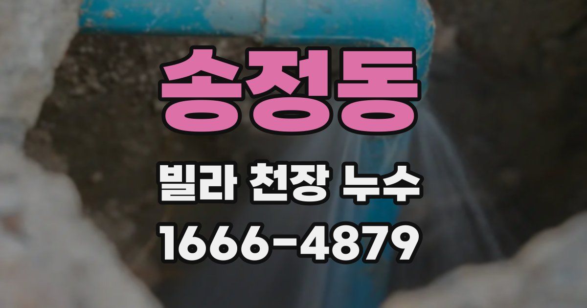 송정동 빌라 천장 누수