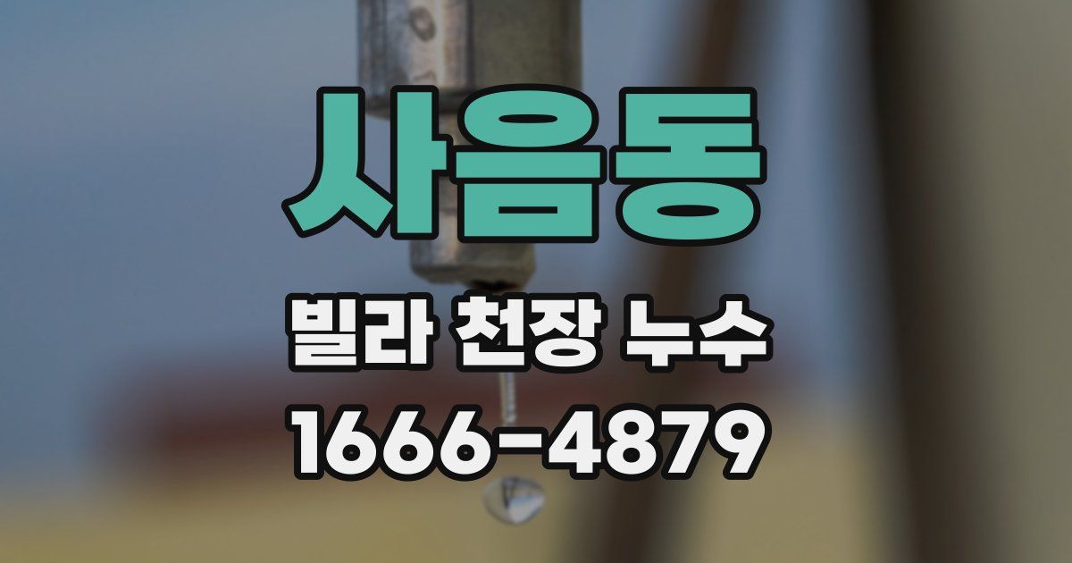 사음동 빌라 천장 누수