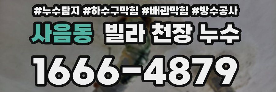 사음동 빌라 천장 누수