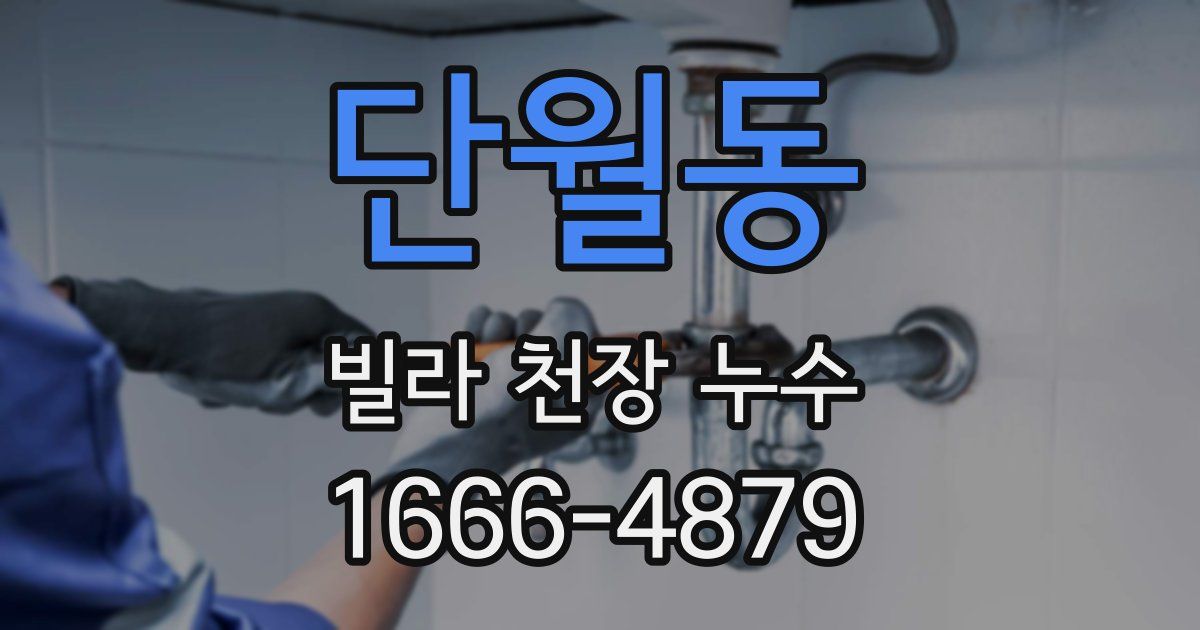 단월동 빌라 천장 누수