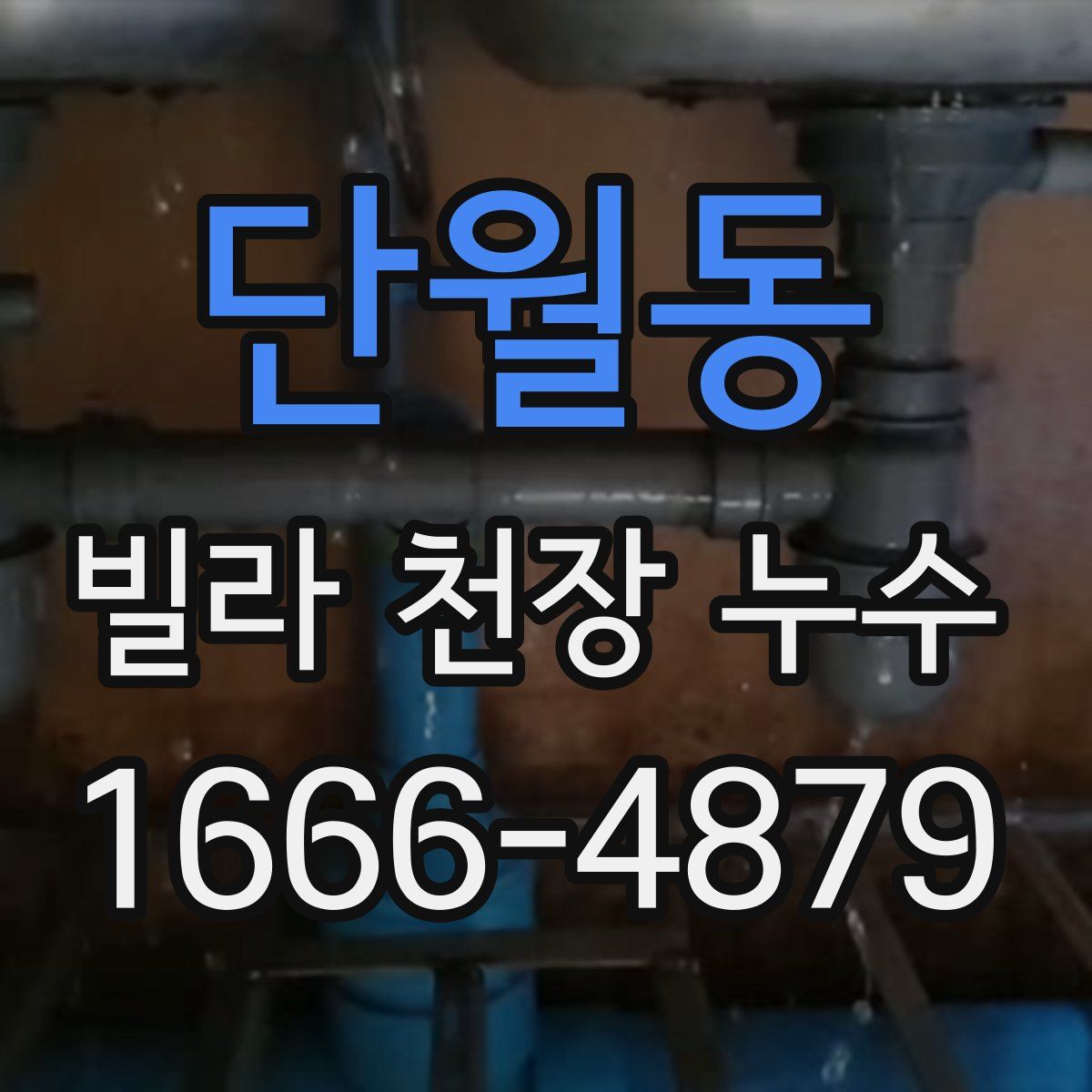단월동 빌라 천장 누수