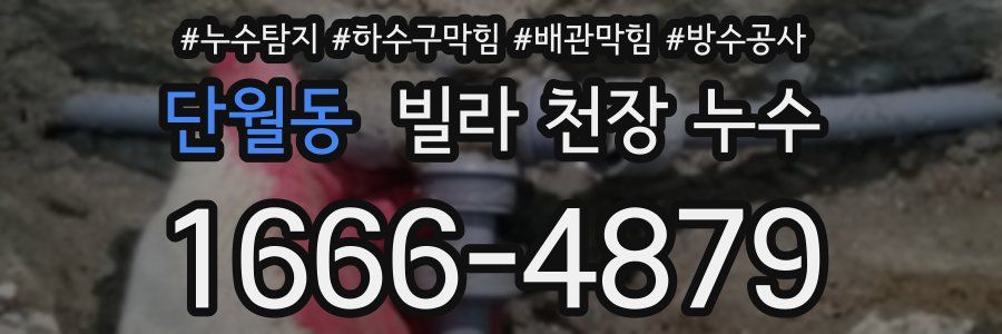 단월동 빌라 천장 누수