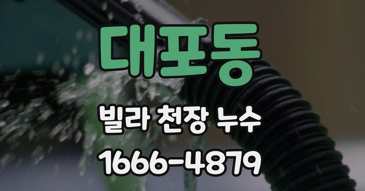 대포동 빌라 천장 누수