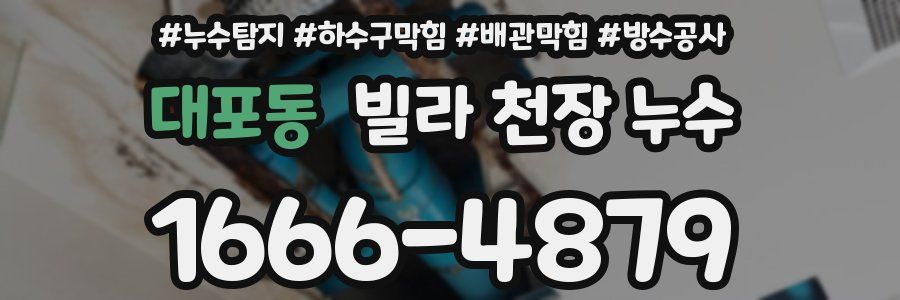 대포동 빌라 천장 누수