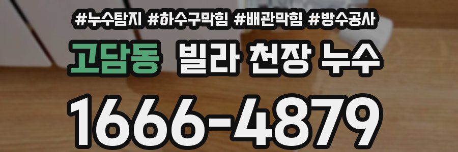 고담동 빌라 천장 누수