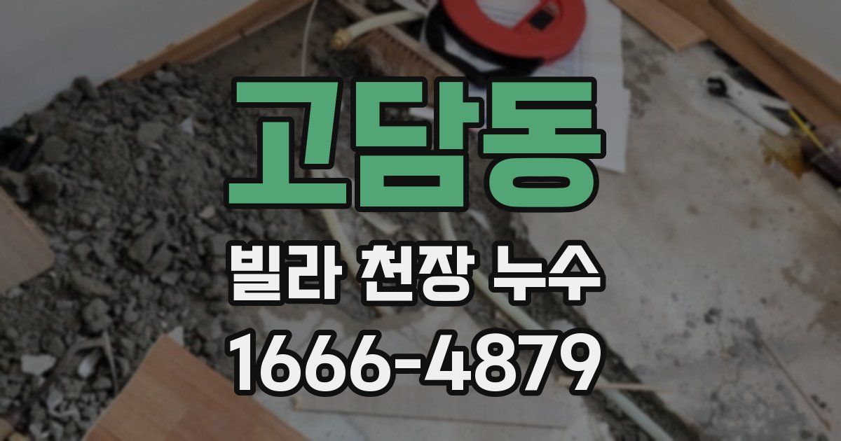 고담동 빌라 천장 누수