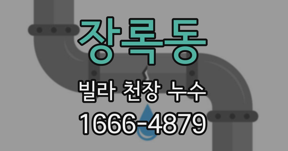 장록동 빌라 천장 누수