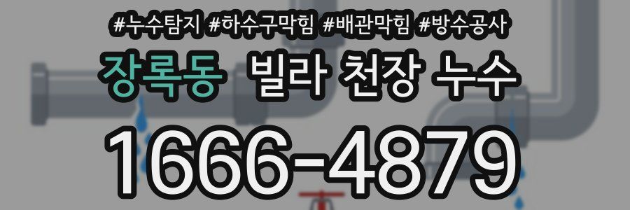 장록동 빌라 천장 누수