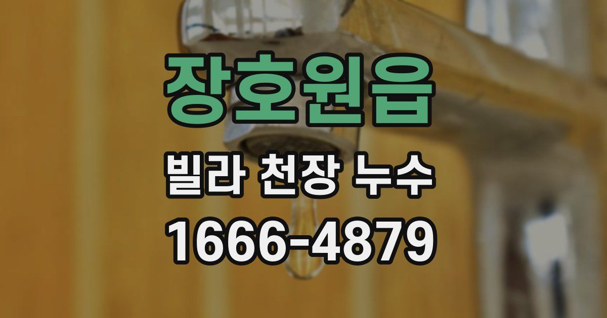 장호원읍 빌라 천장 누수