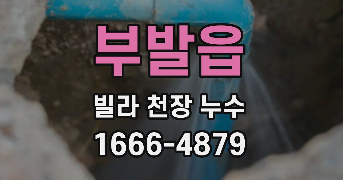부발읍 빌라 천장 누수