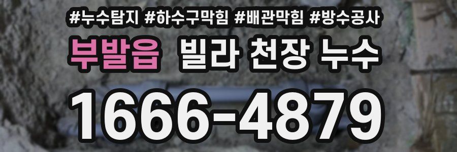 부발읍 빌라 천장 누수