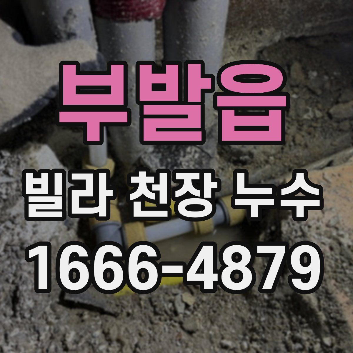 부발읍 빌라 천장 누수