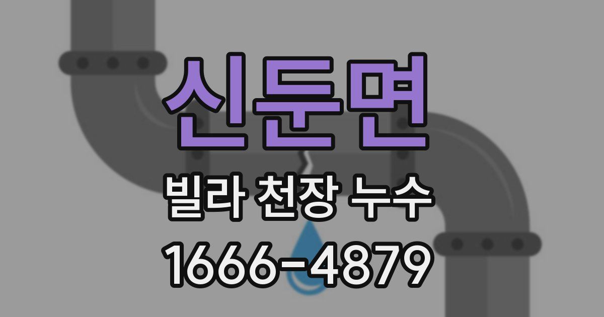 신둔면 빌라 천장 누수
