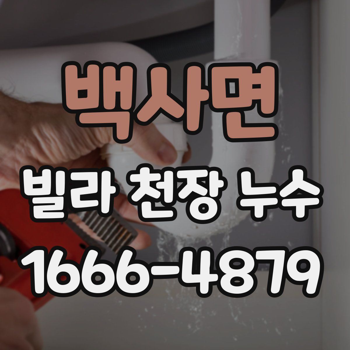 백사면 빌라 천장 누수