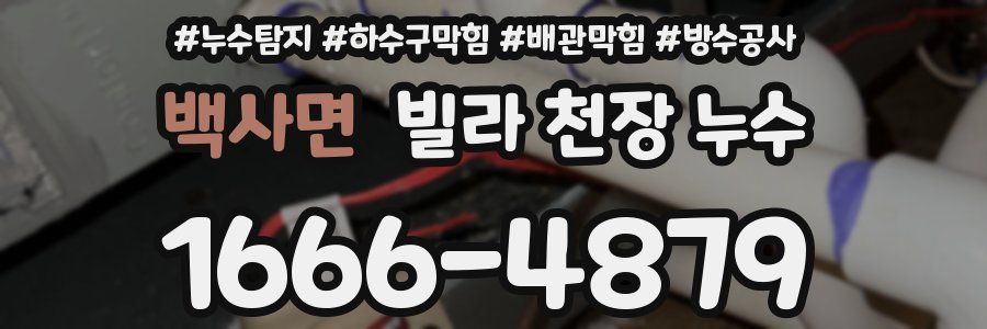 백사면 빌라 천장 누수