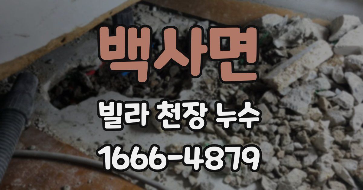 백사면 빌라 천장 누수