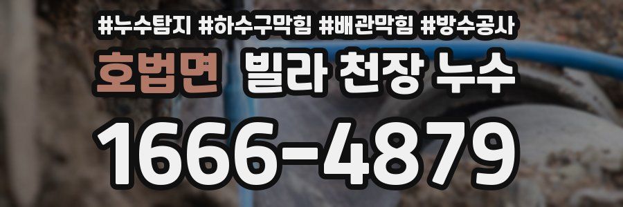 호법면 빌라 천장 누수