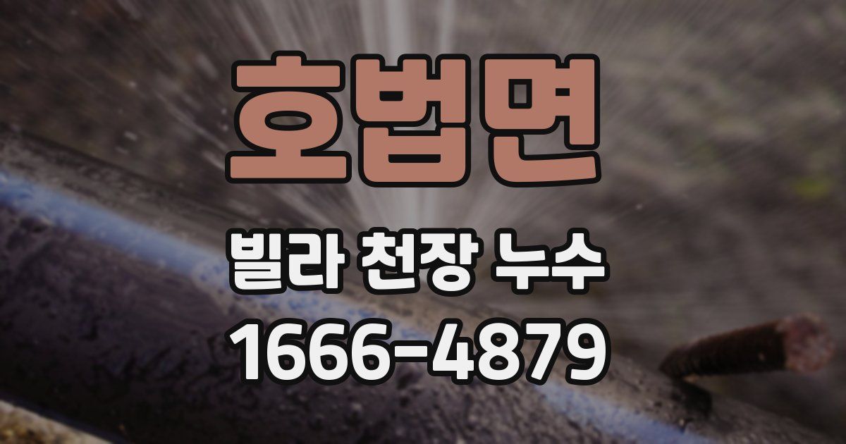 호법면 빌라 천장 누수