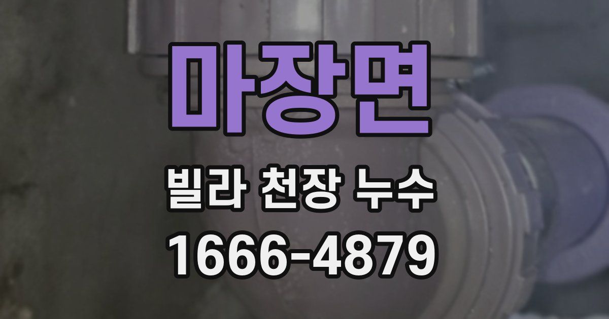 마장면 빌라 천장 누수