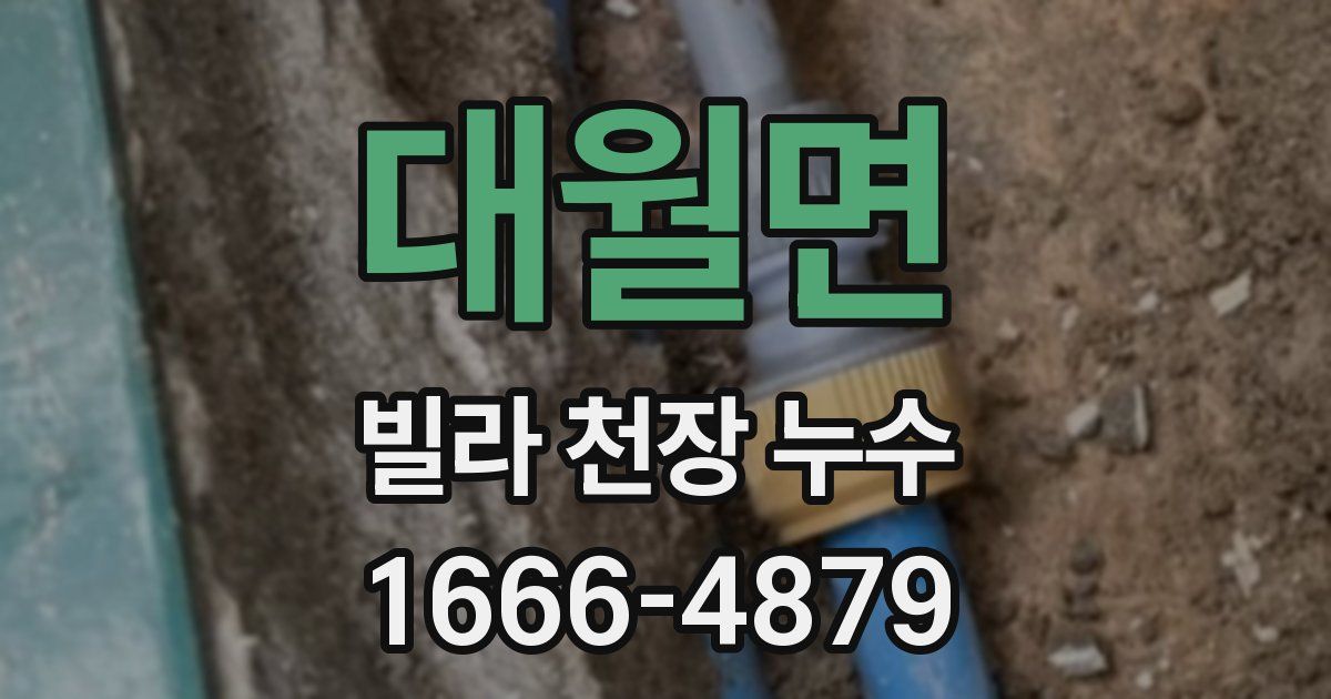 대월면 빌라 천장 누수