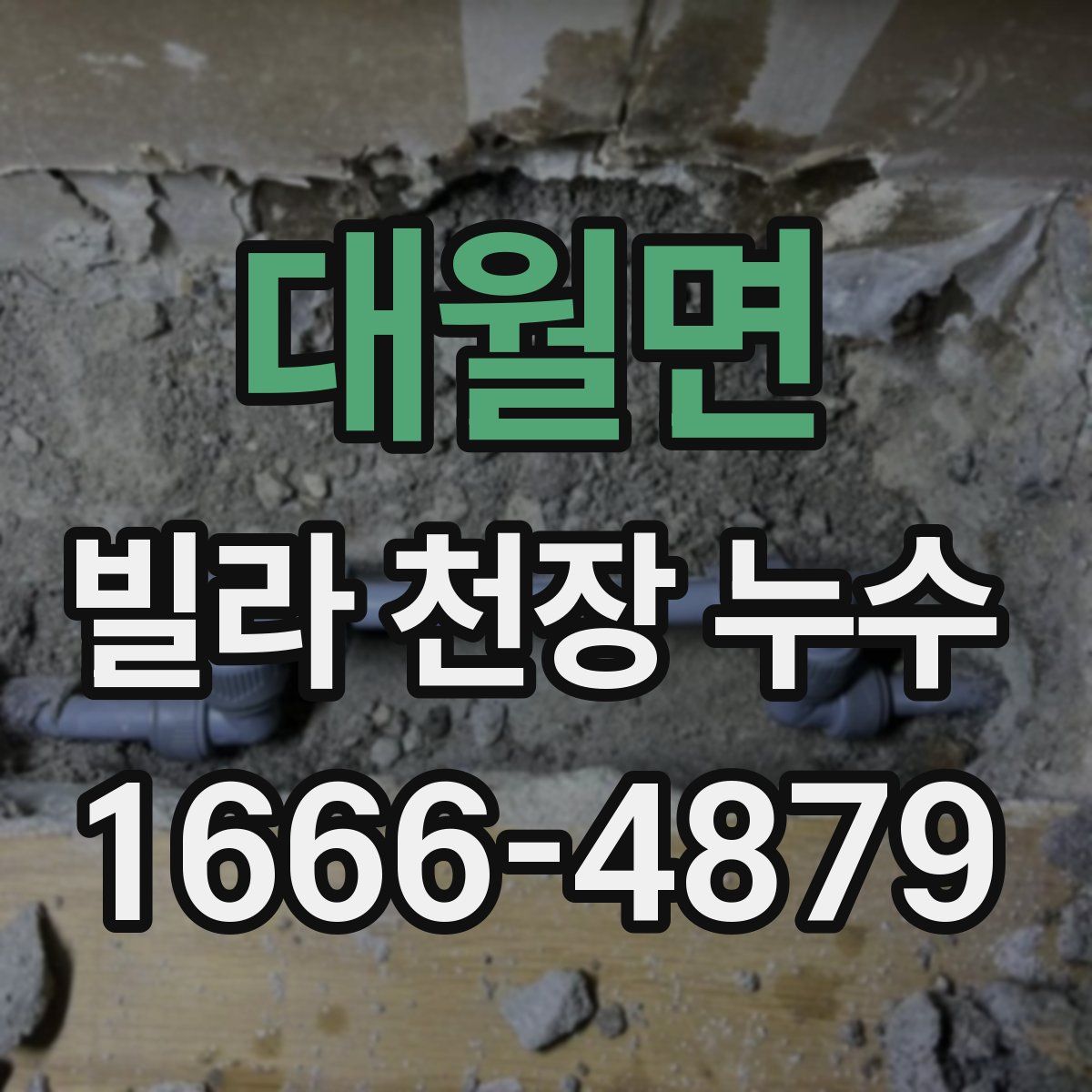 대월면 빌라 천장 누수