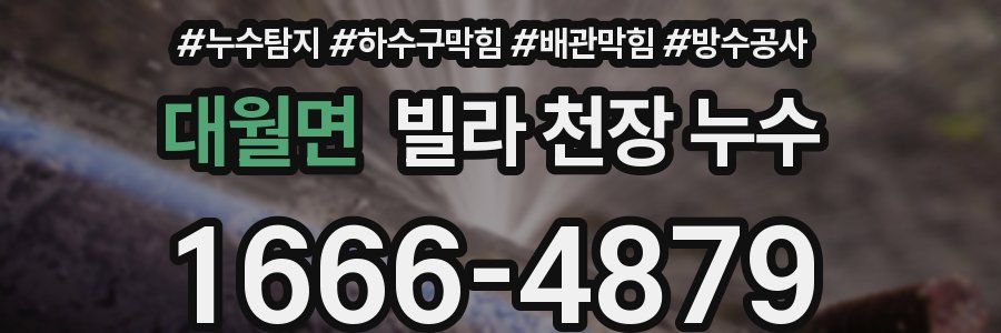 대월면 빌라 천장 누수