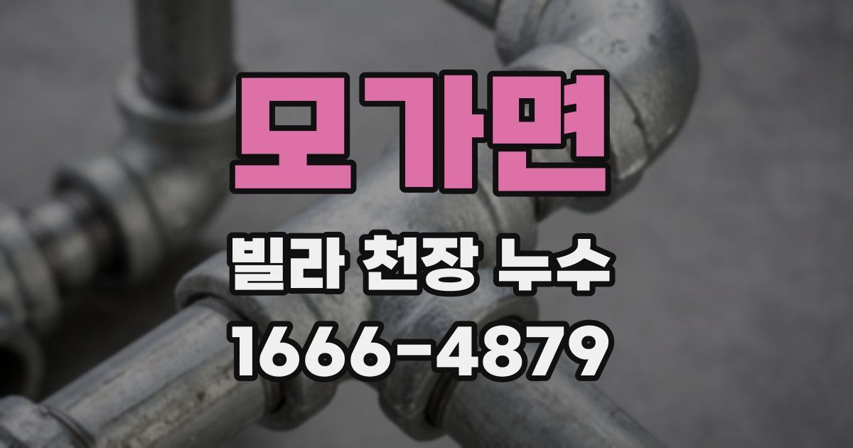 모가면 빌라 천장 누수