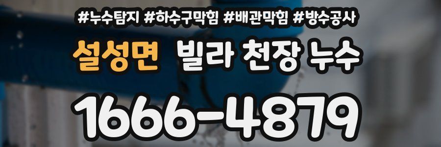 설성면 빌라 천장 누수