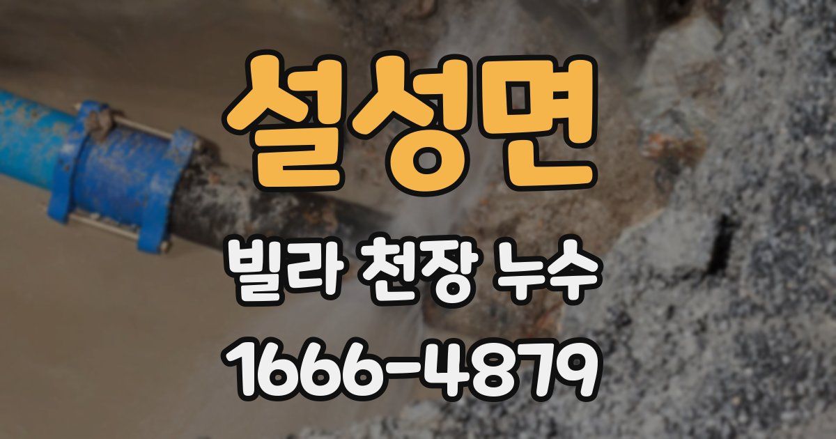 설성면 빌라 천장 누수
