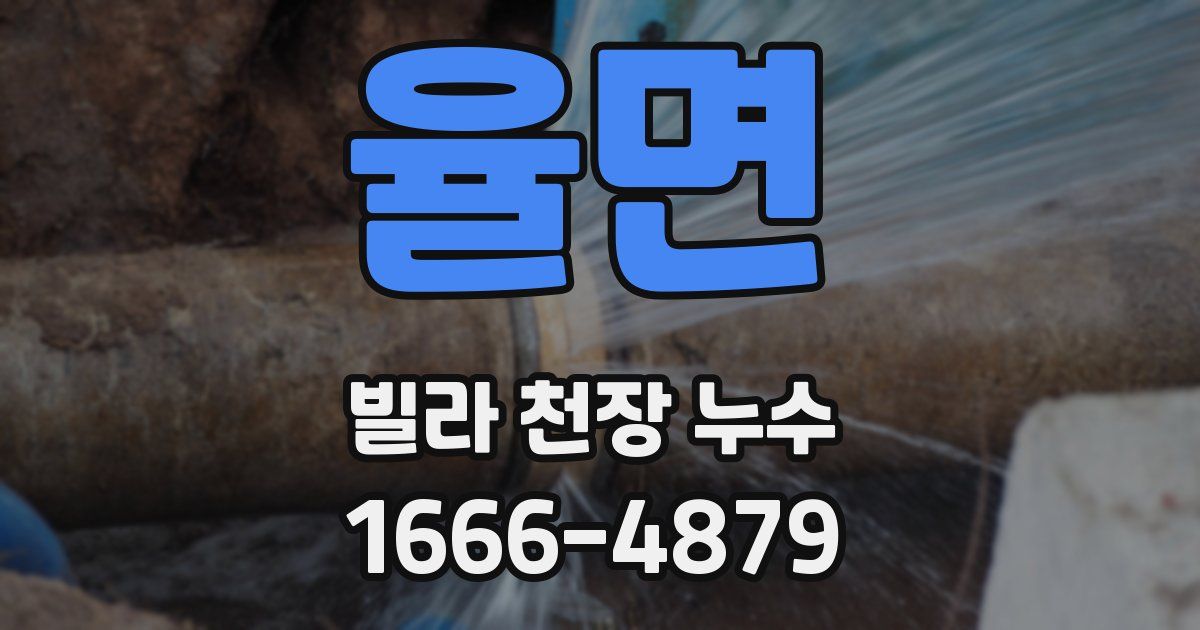 율면 빌라 천장 누수