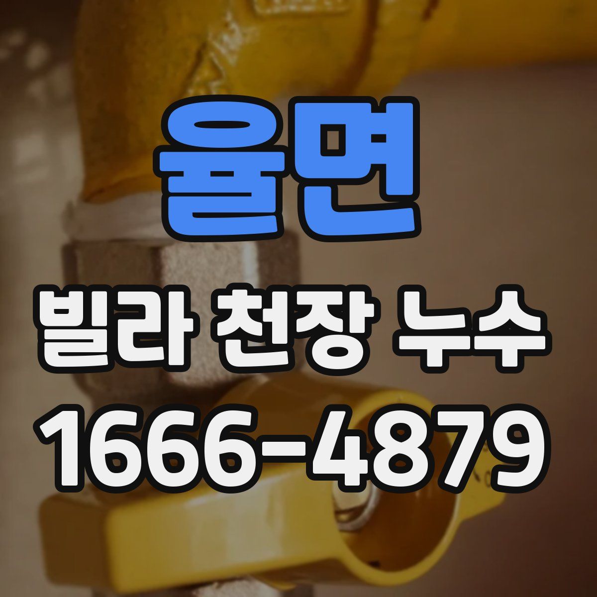 율면 빌라 천장 누수