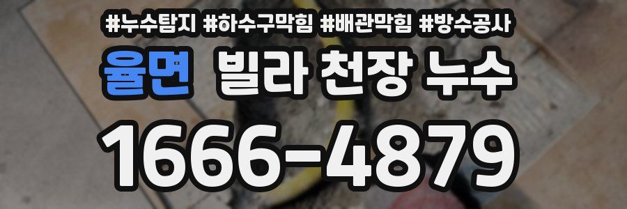 율면 빌라 천장 누수