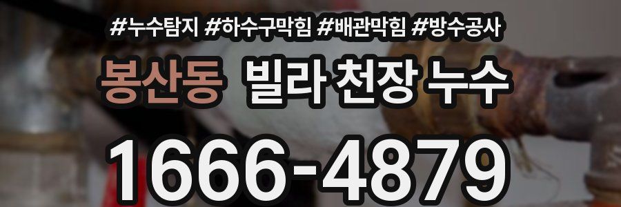 봉산동 빌라 천장 누수