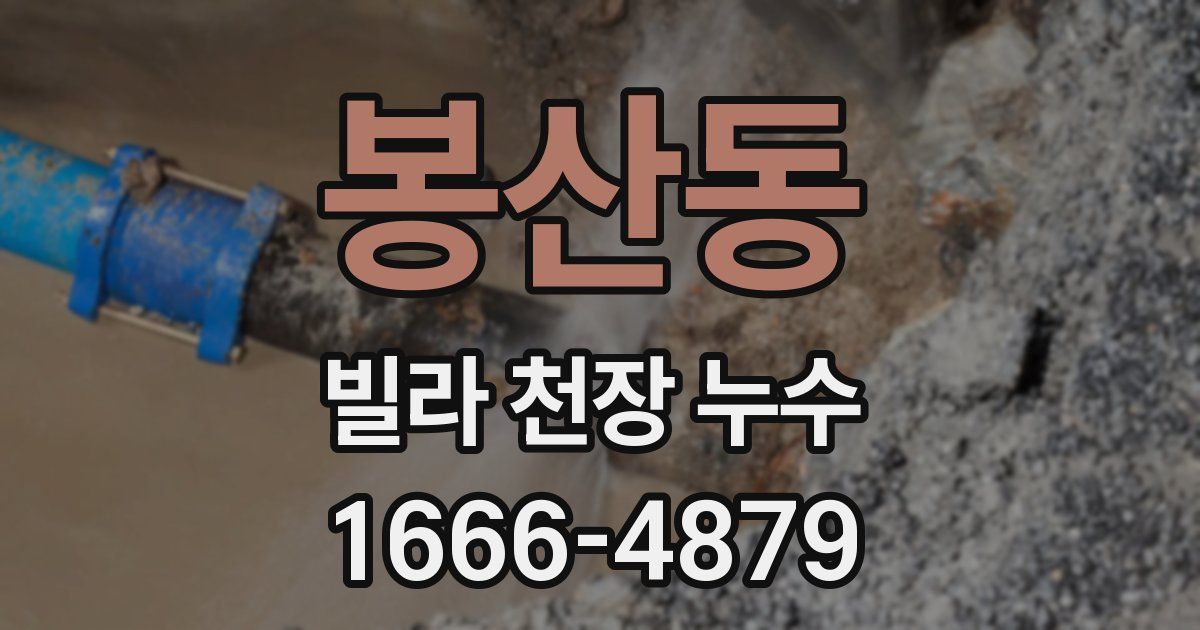 봉산동 빌라 천장 누수