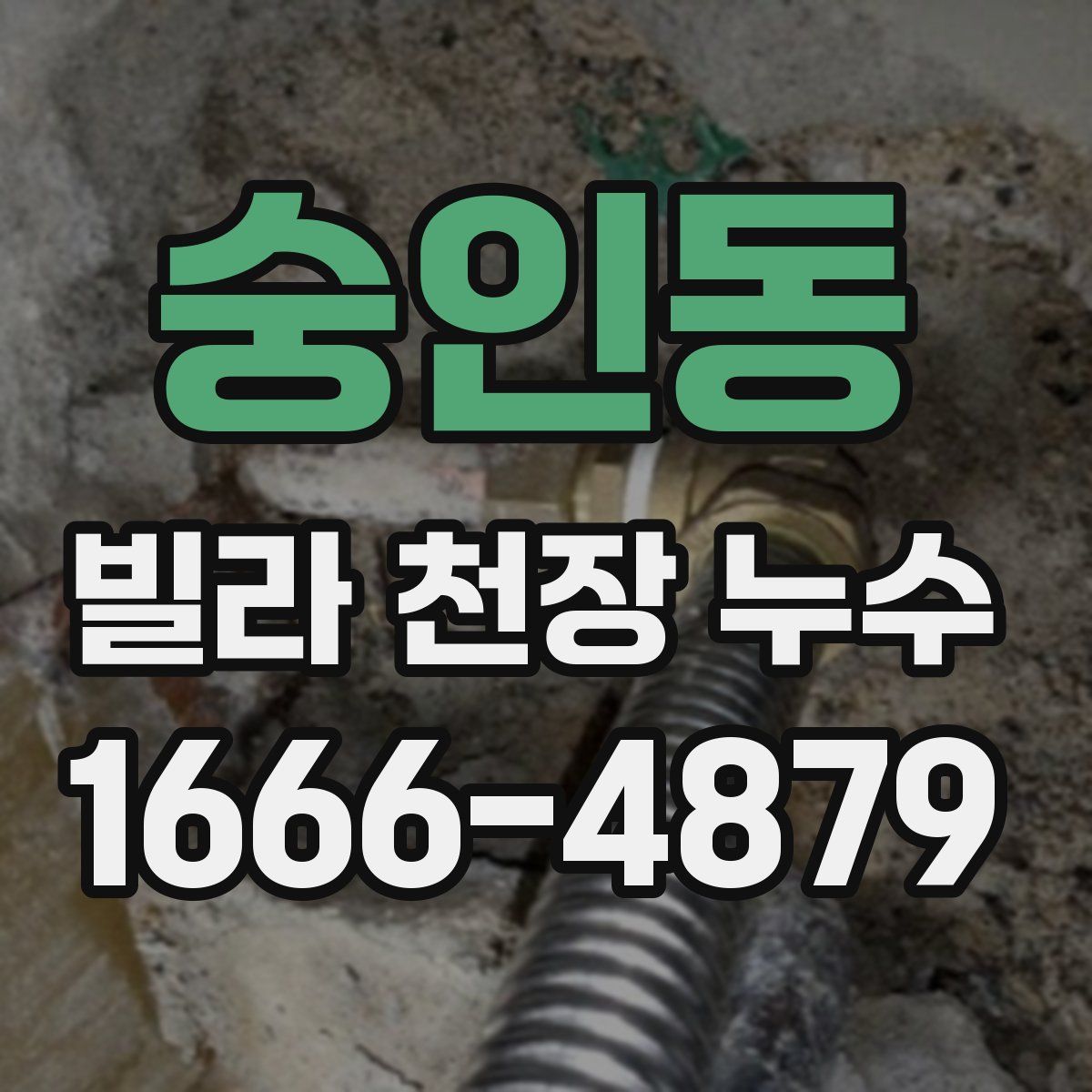 숭인동 빌라 천장 누수