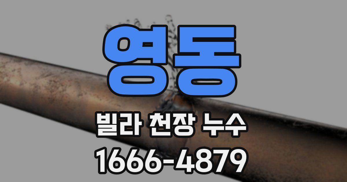 영동 빌라 천장 누수