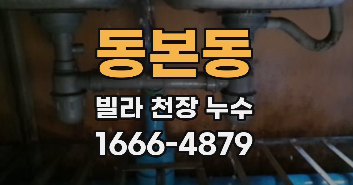 동본동 빌라 천장 누수